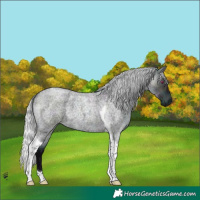 Horse Color:Midnight Silver Brown Chinchilla Roan Dun Tobiano 