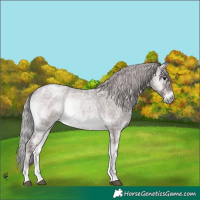 Horse Color:Platinum Chocolate Silver Brown Ice Roan Onyx