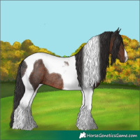 Horse Color:Liver Chestnut Tobiano Rabicano