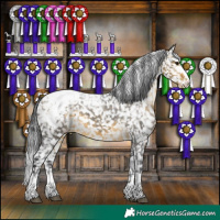 Horse Color:Buckskin Snowcap 
