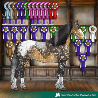 Horse Color:Buckskin Snowcap