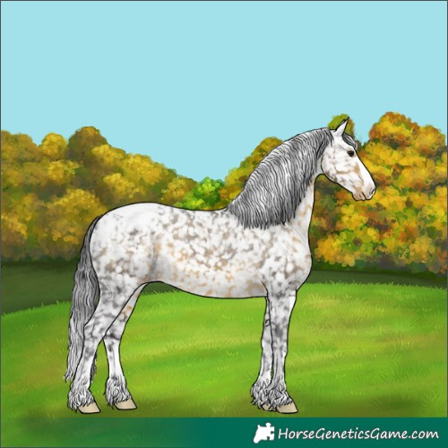 Horse Color:Buckskin Snowcap 