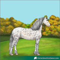 Horse Color:Buckskin Snowcap 