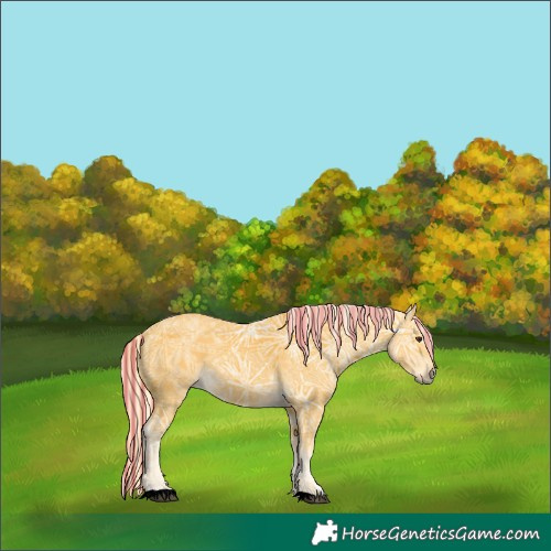 Horse Color:Void Painted Palomino Ice