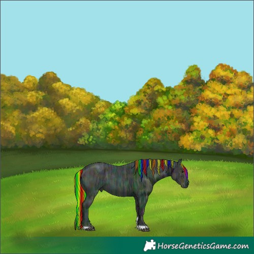 Horse Color:Painted Midnight Black Ice Tobiano 