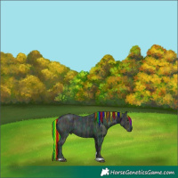 Horse Color:Painted Midnight Black Ice Tobiano 