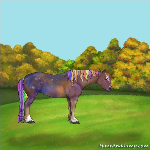 Horse Color:Painted Chocolate Palomino Sabino