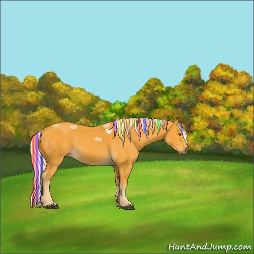 Horse Color:Painted Palomino 