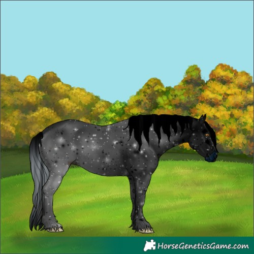 Horse Color:ERROR: UNKNOWN ANOMALY