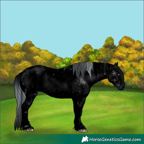 Horse Color:ERROR: UNKNOWN ANOMALY