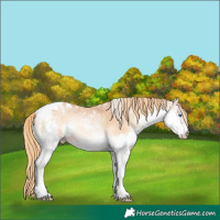 Horse Color:Red Onyx Pearl Splash Tobiano Rabicano