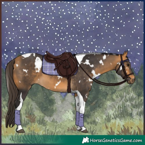 Horse Color:White Spotted Buckskin Tobiano 