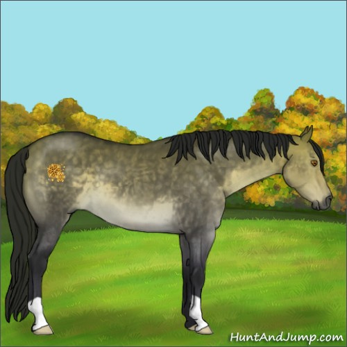 Horse Color:Gray Platinum Buckskin Dun 