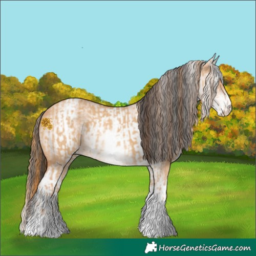 Horse Color:White Spotted Red Dun Rabicano  and White Spotted Bay Dun Rabicano 