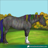 Horse Color:Painted Midnight Sable Champagne Ice Dun Rabicano 