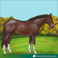 Horse Color:Chocolate Brown 