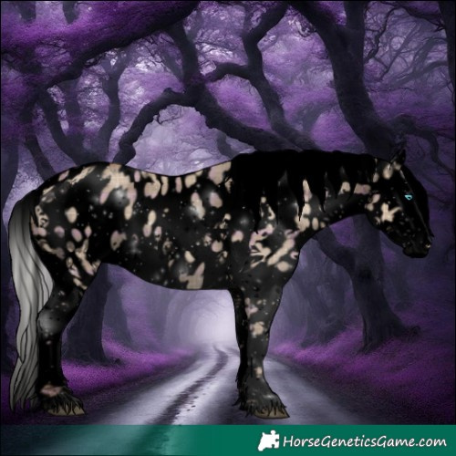 Horse Color:Void Plaid  Silver Grullo Splash Tobiano Appaloosa Rabicano 
