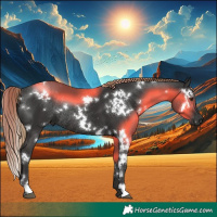 Horse Color:White Spotted Liver Chestnut Rabicano 