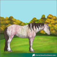 Horse Color:White Spotted Amber Champagne Ice 