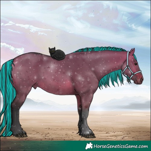 Horse Color:Painted Bay Dun 