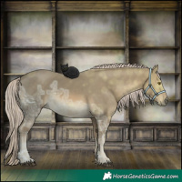 Horse Color:Chocolate Palomino Ice