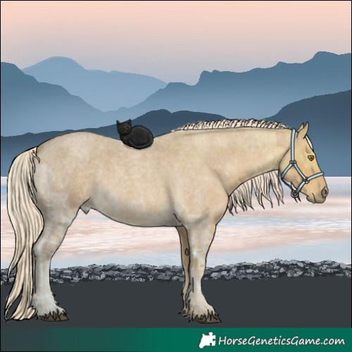 Horse Color:Palomino Ice Roan 