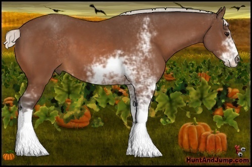 Horse Color:Silver Bay Sabino
