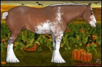 Horse Color:Silver Bay Sabino