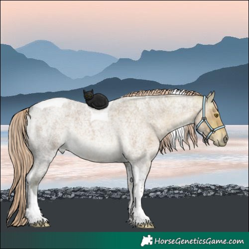 Horse Color:Chocolate Palomino Ice Roan Tobiano 