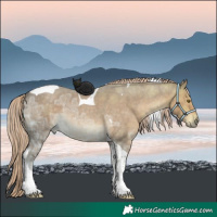Horse Color:Chocolate Palomino Ice Roan Tobiano