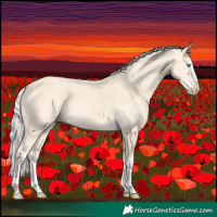 Horse Color:Cremello Splash  and Cremello Splash 