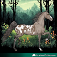 Horse Color:Liver Red Dun Appaloosa Rabicano