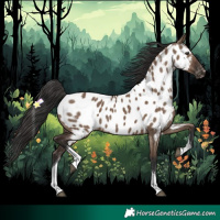 Horse Color:Liver Red Dun Tobiano Appaloosa Rabicano