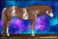 Horse Color:White Spotted Chestnut Sabino
