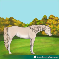 Horse Color:Perlino 