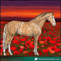 Horse Color:Cremello Splash and Palomino Splash