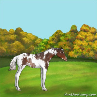 Horse Color:White Spotted Silver Brown Tobiano Blanket Rabicano 