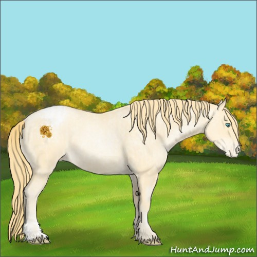 Horse Color:Buckskin Roan Pearl  and Buckskin Roan Pearl Appaloosa 