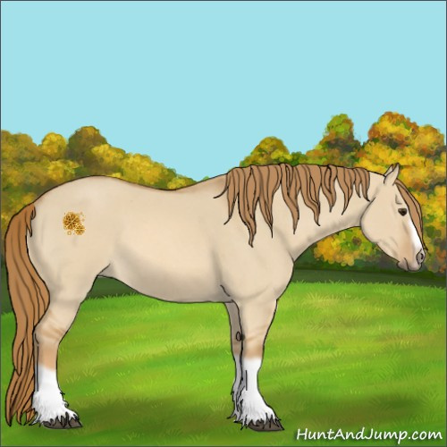 Horse Color:Red Dun Roan Splash Frame Rabicano 
