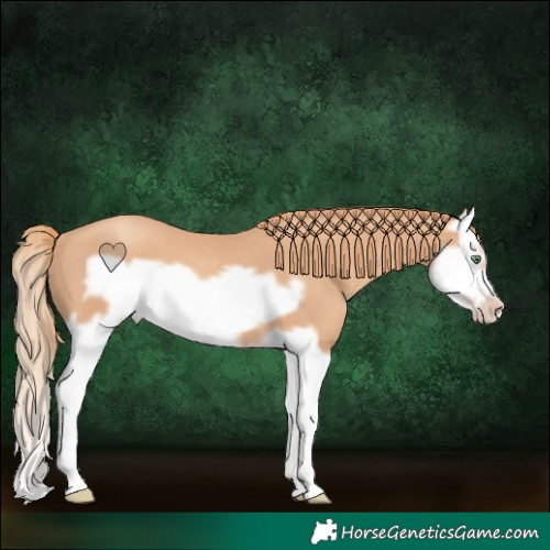 Horse Color:Gold Champagne Splash Frame 