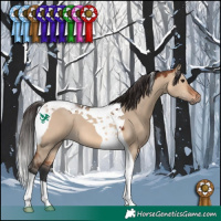 Horse Color:Bay Dun Tobiano 