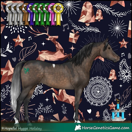 Horse Color:Brown Dun Tobiano 