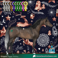 Horse Color:Brown Dun Tobiano 