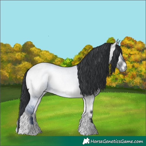 Horse Color:Brown Chinchilla Roan Onyx 