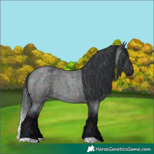 Horse Color:Midnight Brown Chinchilla Roan Dun 