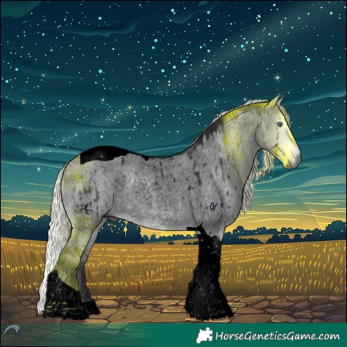 Horse Color:Void Silver Brown Chinchilla Roan Dun Tobiano Brindle 
