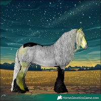 Horse Color:Void Silver Brown Chinchilla Roan Dun Tobiano Brindle 
