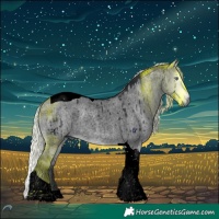 Horse Color:Void Silver Brown Chinchilla Roan Dun Tobiano Brindle 