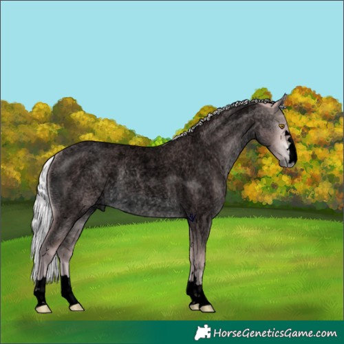 Horse Color:Void Platinum Chocolate Silver Buckskin Roan 