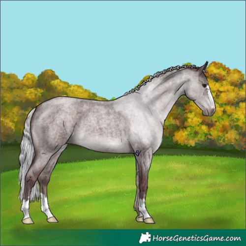 Horse Color:Platinum Chocolate Silver Brown Roan 
